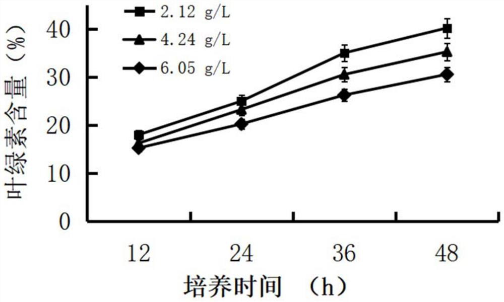 Heterotrophism-dilution-light induction culture method for desert chlorella pyrenoidosa