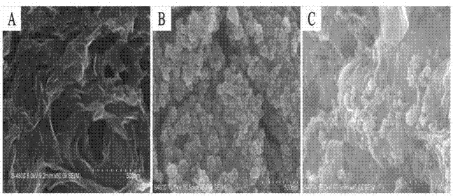 Preparation method of Co4S3 / nitrogen doped graphene composite material and application thereof