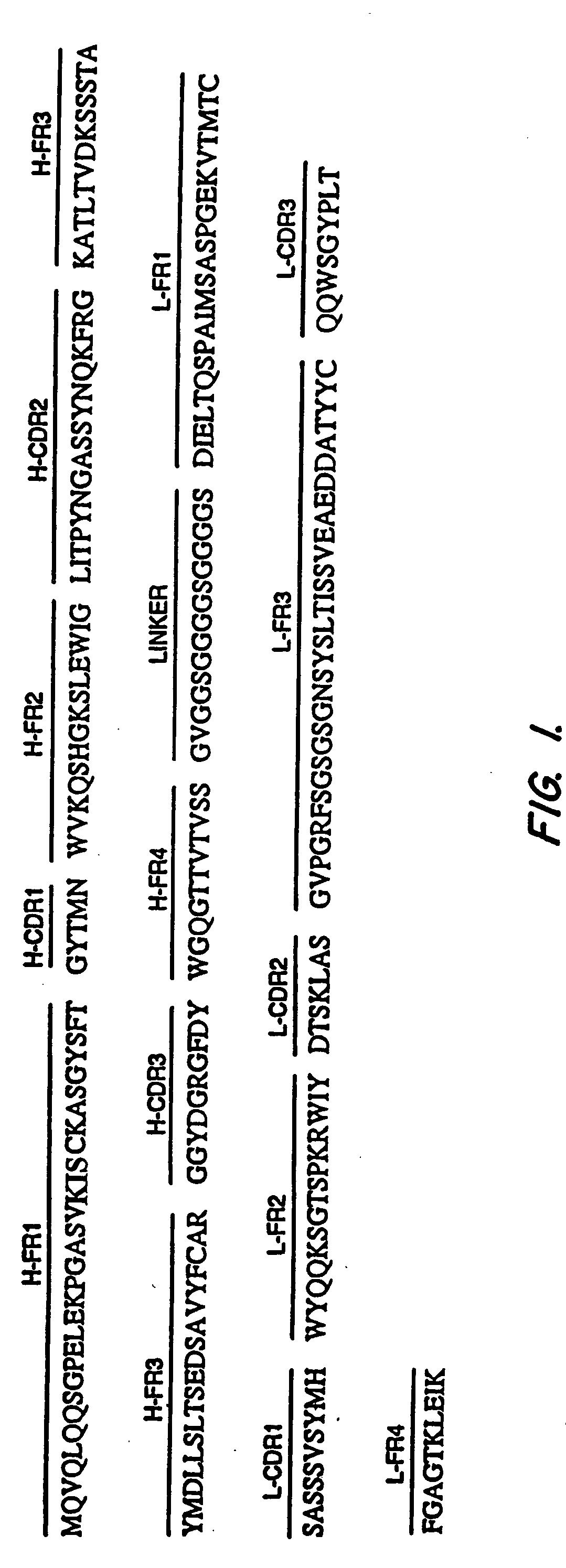 Antibodies, including FV molecules, and immunoconjugates having high binding affinity for mesothelin and methods for their use