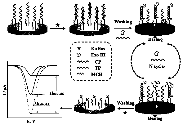 A temperature-controllable electrochemical dna biosensor and its preparation method