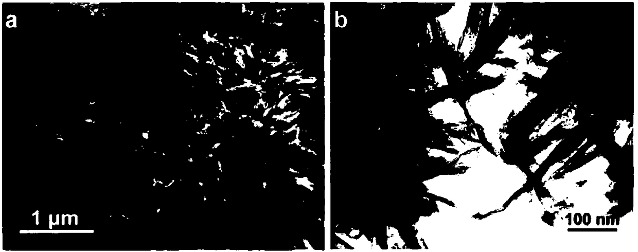 Two-dimensional metal carbonitride derived nano-material and preparation method therefor