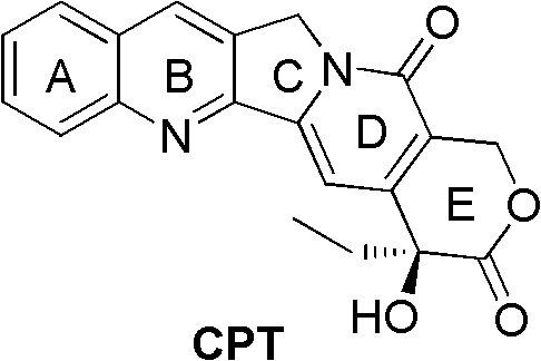 Camptothecin E ring analogues and applications thereof as drugs