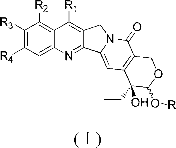 Camptothecin E ring analogues and applications thereof as drugs