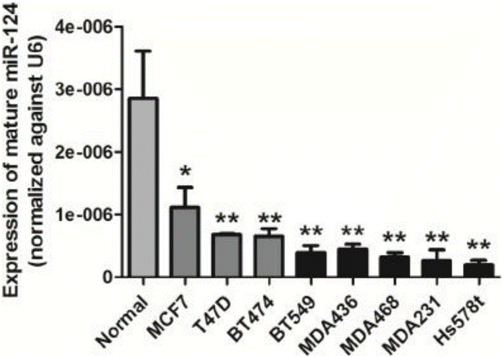 Application of miR-124 in mammary cancer bone metastasis diseases