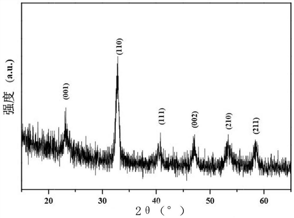 A kind of titanium-based lanthanum nickelate electrode and preparation method thereof