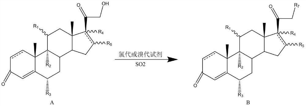 A kind of steroid 21 hydroxy chlorination or bromination method