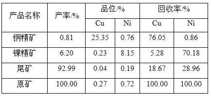 Beneficiation method for copper nickel sulfide ore