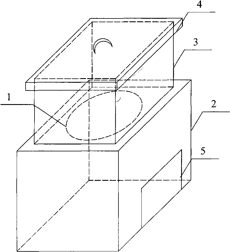 Method for girdling in Broussonetia papyrifera (L.) Vent.