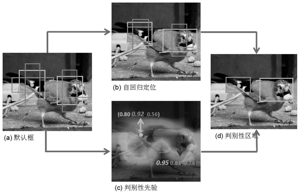 A fine-grained image classification method based on discriminative learning