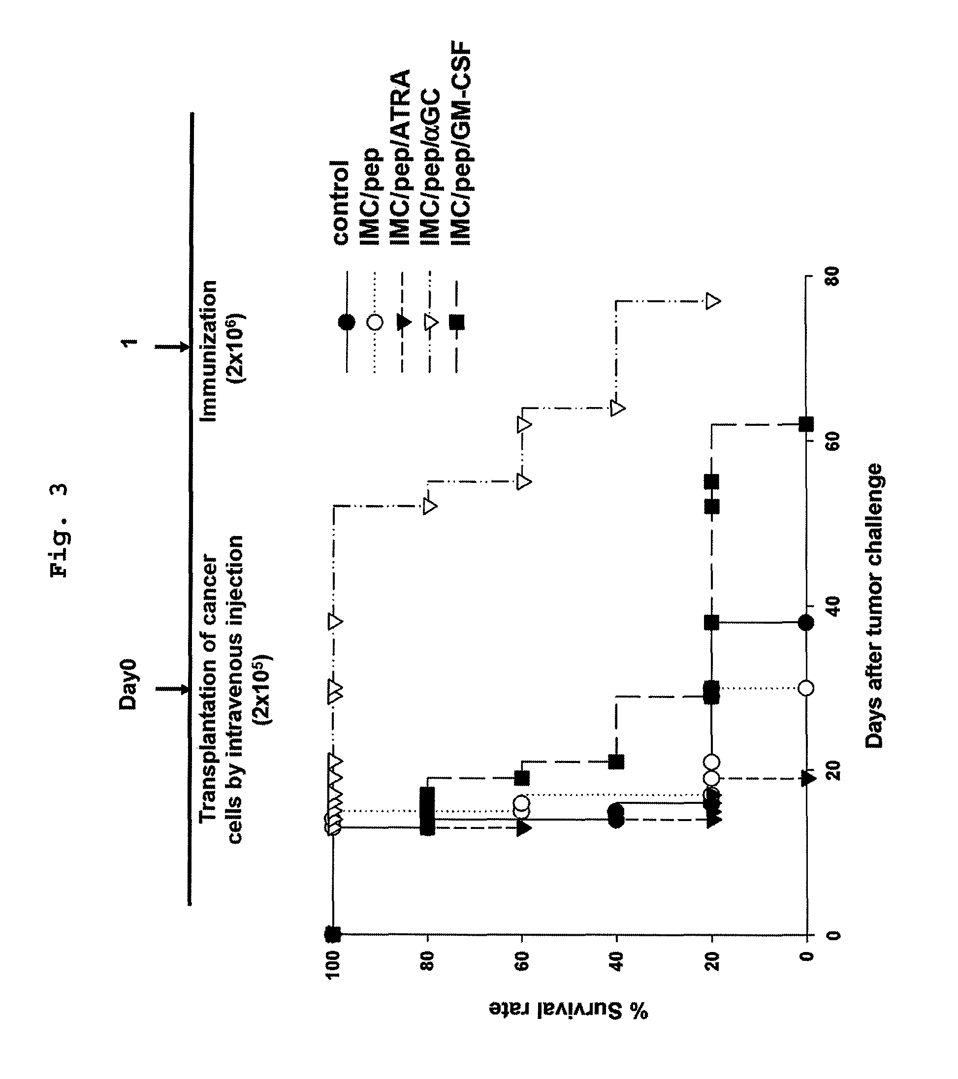 Vaccine comprising monocyte or immature myeloid cells (IMC) which were loaded with the ligand of natural killer T cell and antigen