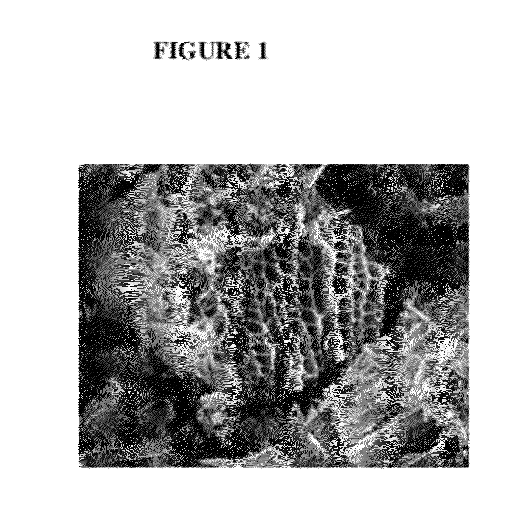 Activated carbon associated with alkaline or alkali iodide