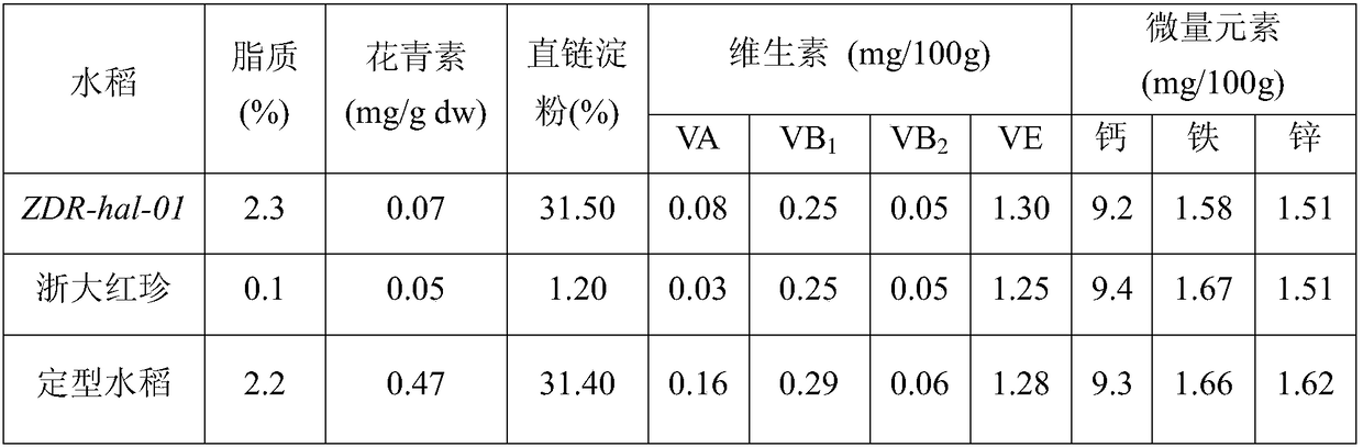 Breeding method for red endosperm rice