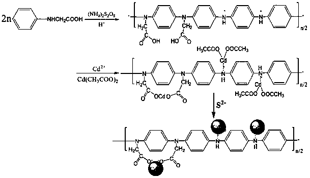 Preparation method of n-substituted carboxyl polyaniline/cadmium sulfide quantum dot composite material