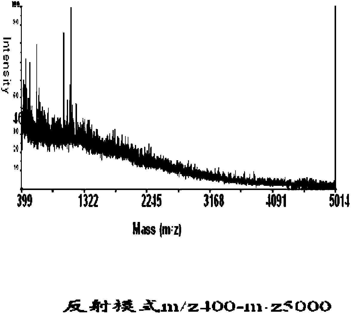 Preparation method of low molecular weight mutton flavor peptide base material