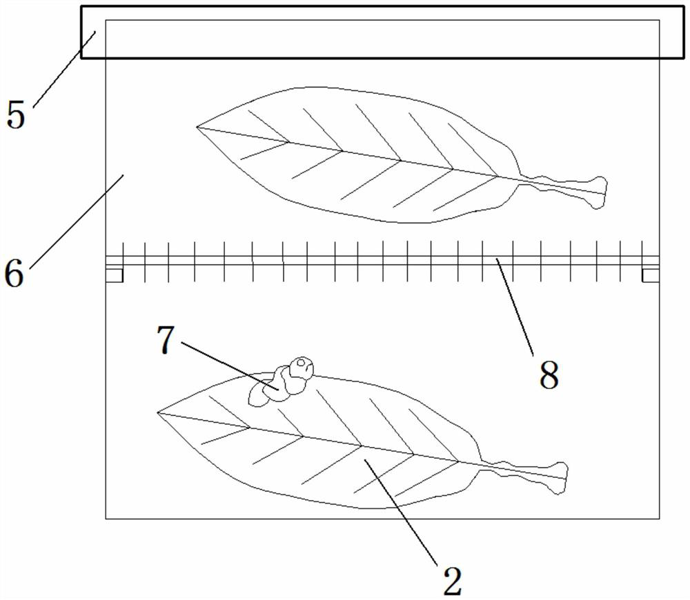 A kind of indoor raising method and device of green-winged silkworm