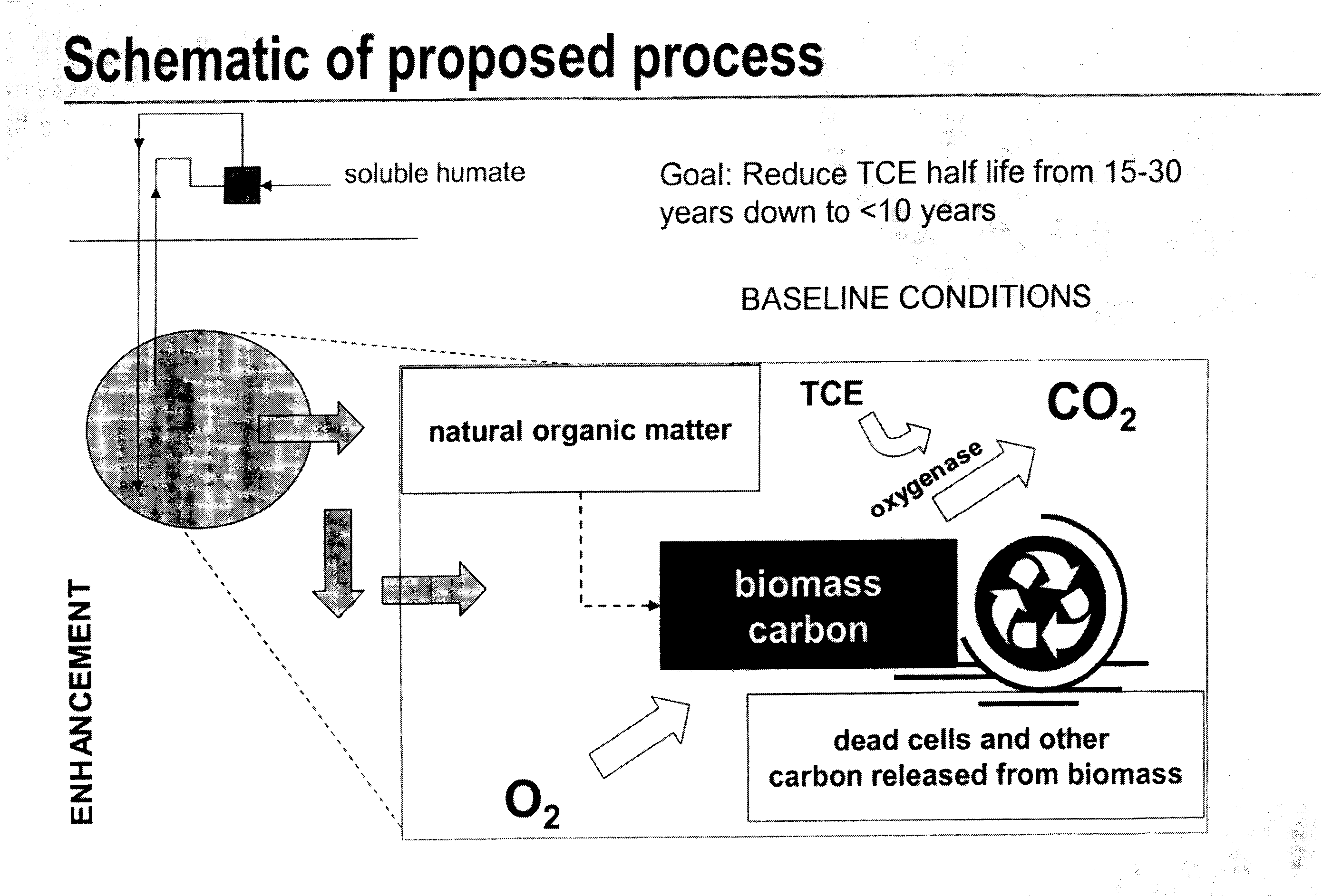 Ground water remediation using humate enhanced aerobic cometabolism