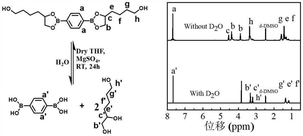 Self-repairing polyurethane based on boron-nitrogen coordination and preparation method thereof