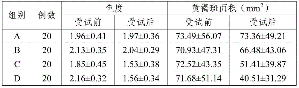 Traditional Chinese medicine composition for removing chloasma, and preparation method and application thereof