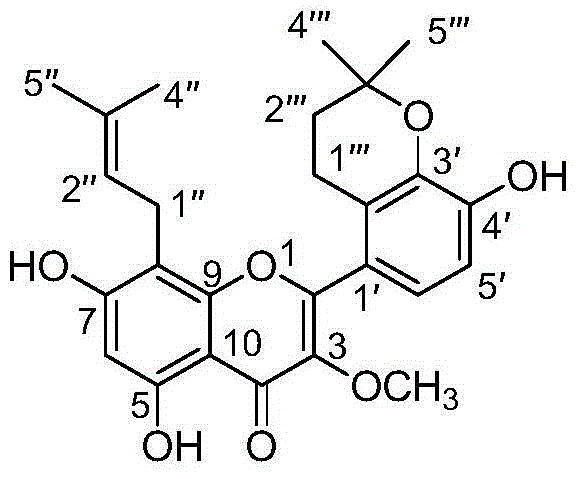 Preparation method and application of isopentene alkenylation flavonoid compound with nerve protection effect