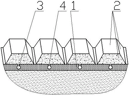 organic soil growing farm