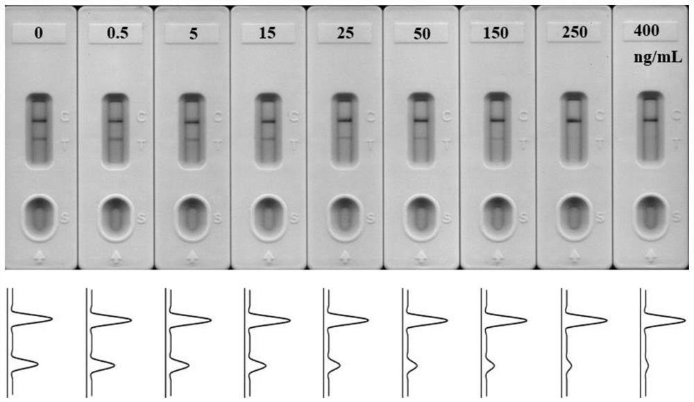 Universal aptamer colloidal gold lateral chromatography test paper for detecting small molecular substances