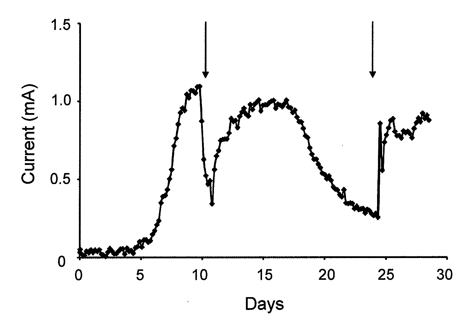 Systems and methods for microbial reductive dechlorination of environmental contaminants
