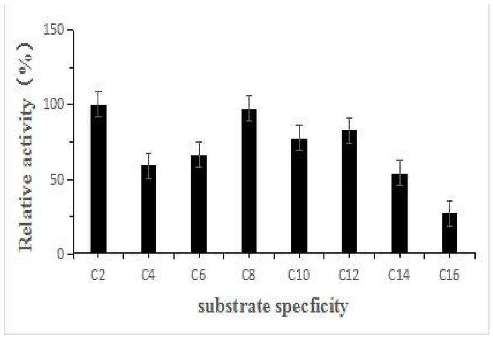 Phthalate ester degrading enzyme gene, its encoded product and preparation method