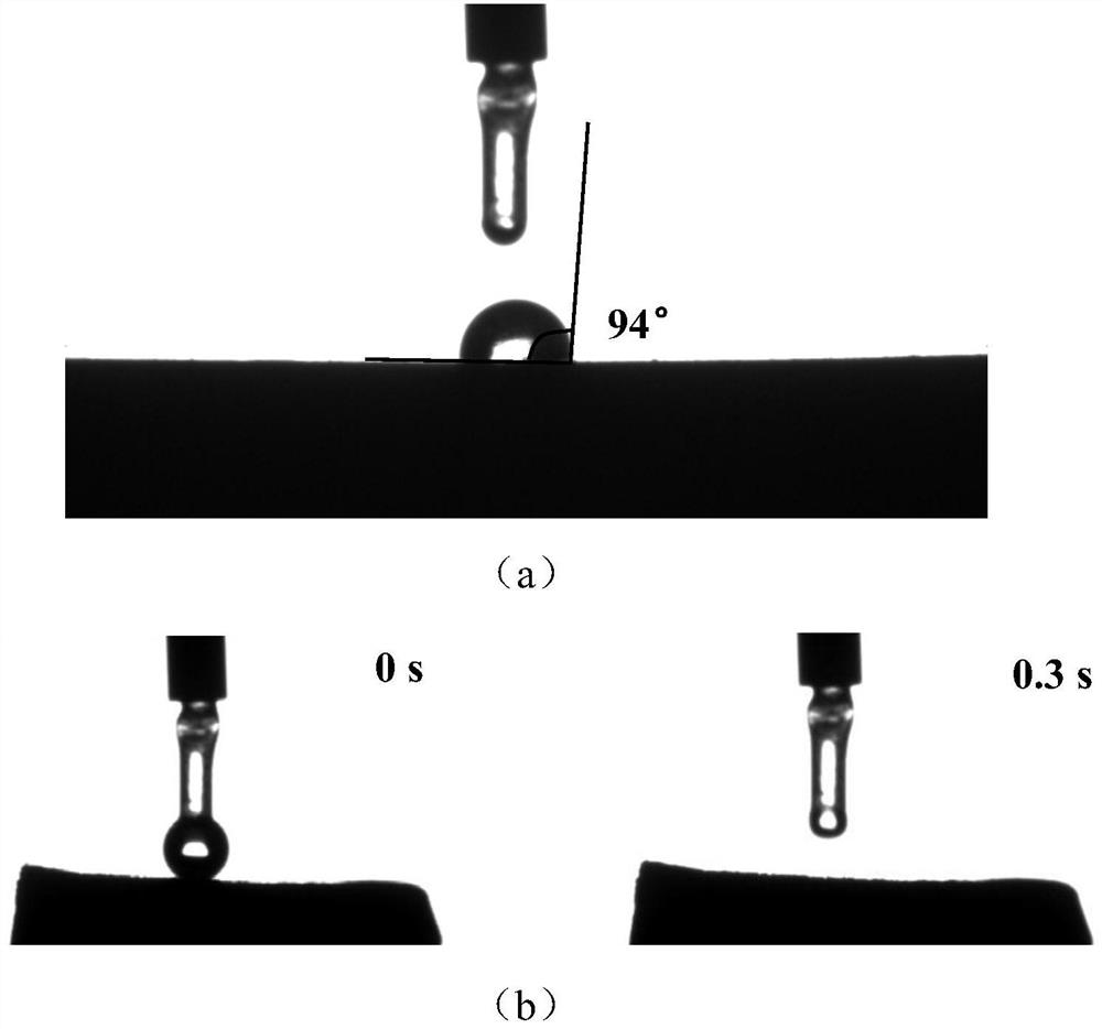 Bamboo-like carbon nanotube composite material based on wood carbonized porous structure and preparation method of bamboo-like carbon nanotube composite material