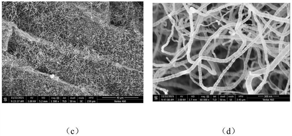 Bamboo-like carbon nanotube composite material based on wood carbonized porous structure and preparation method of bamboo-like carbon nanotube composite material