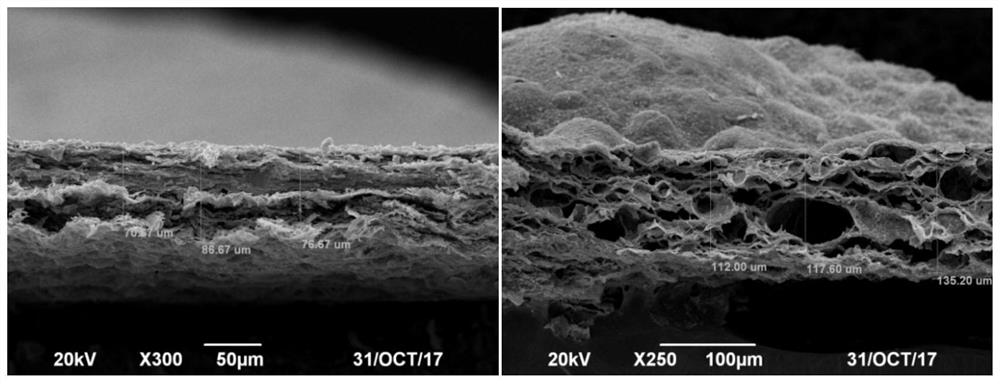 A kind of flexible graphene-based composite film and its preparation method and application as electromagnetic shielding material