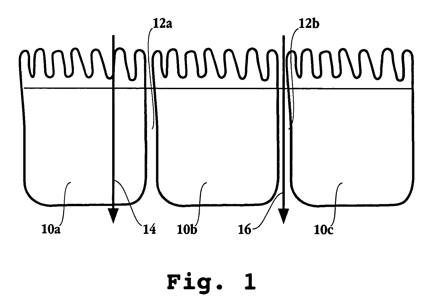 Compositions and dosage forms for enhanced absorption of iron