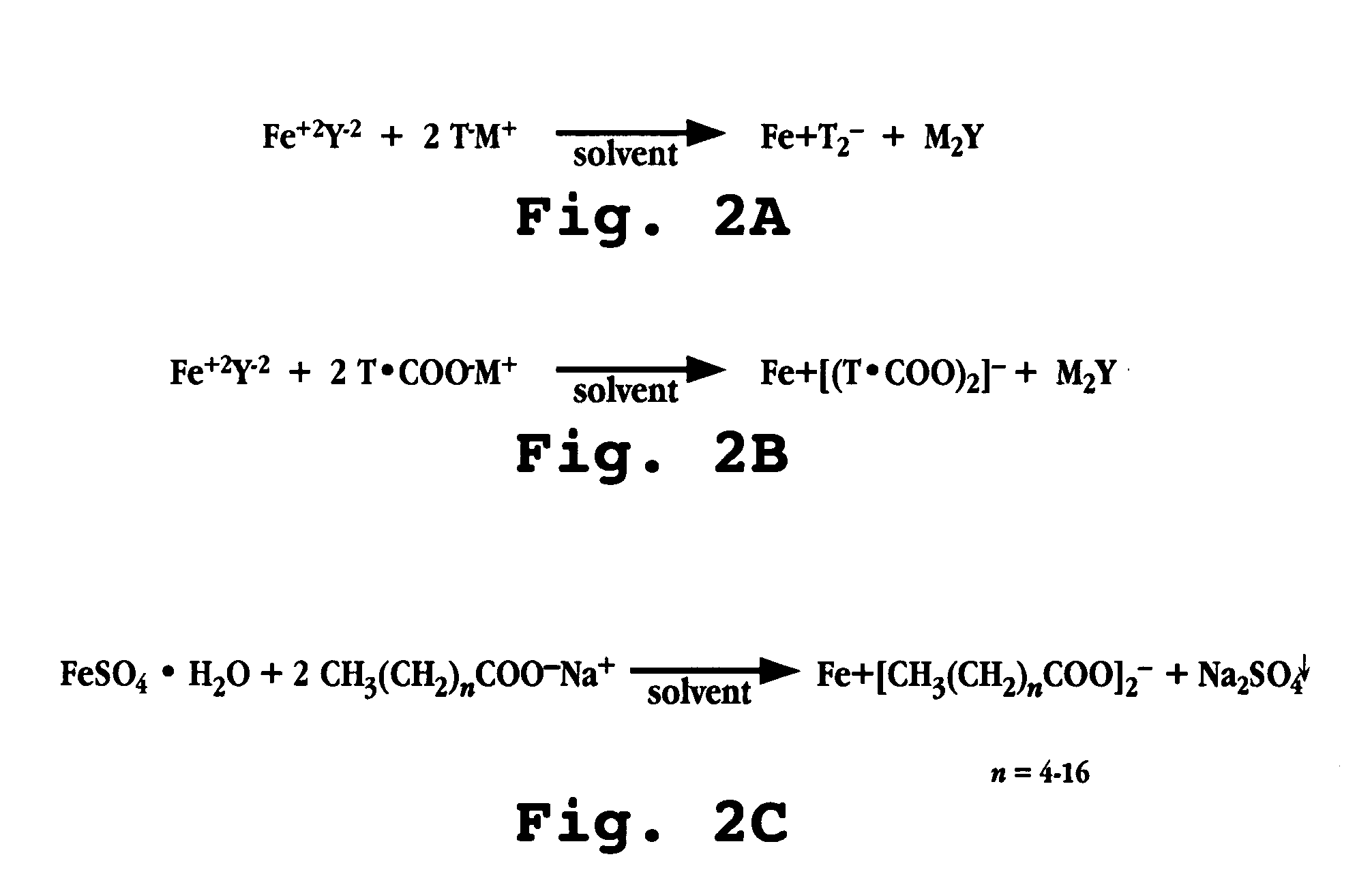 Compositions and dosage forms for enhanced absorption of iron
