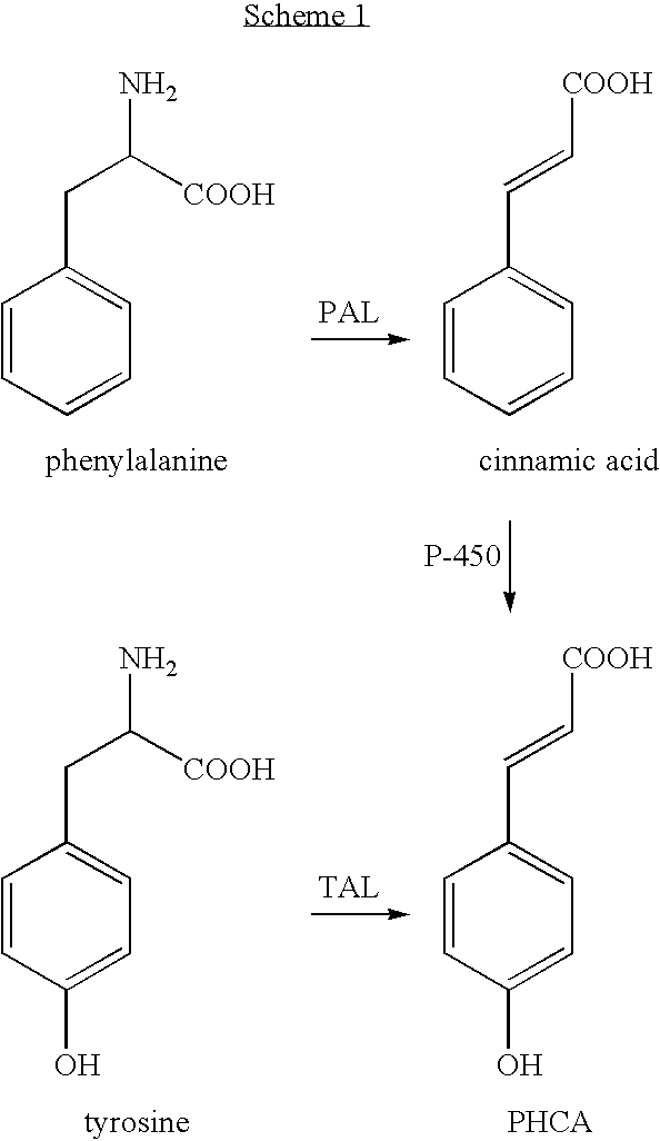Bioproduction of para-hydroxycinnamic acid