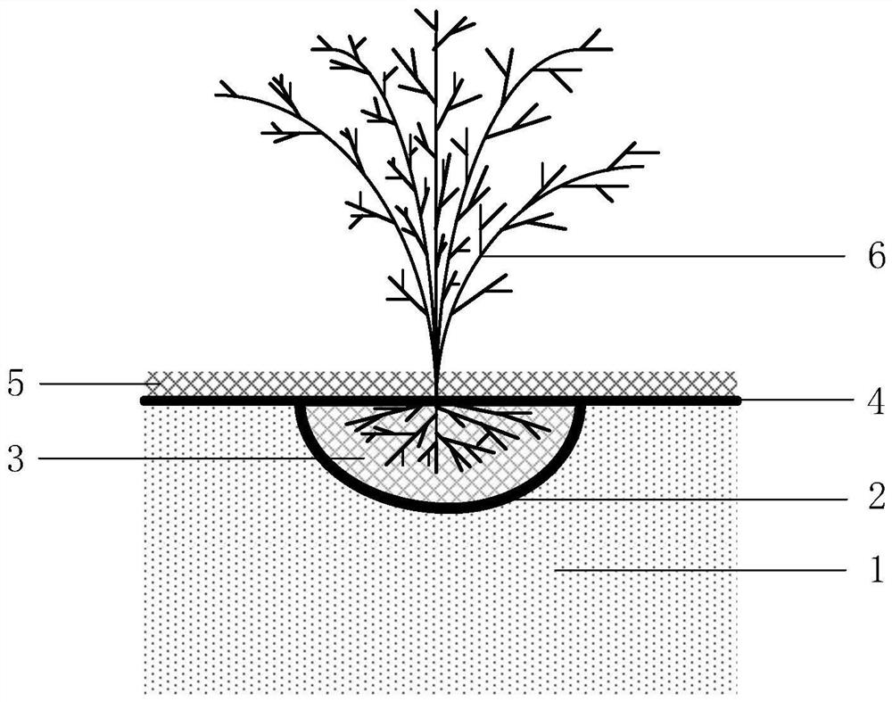 Desert greening planting structure and method for planting plants in desert