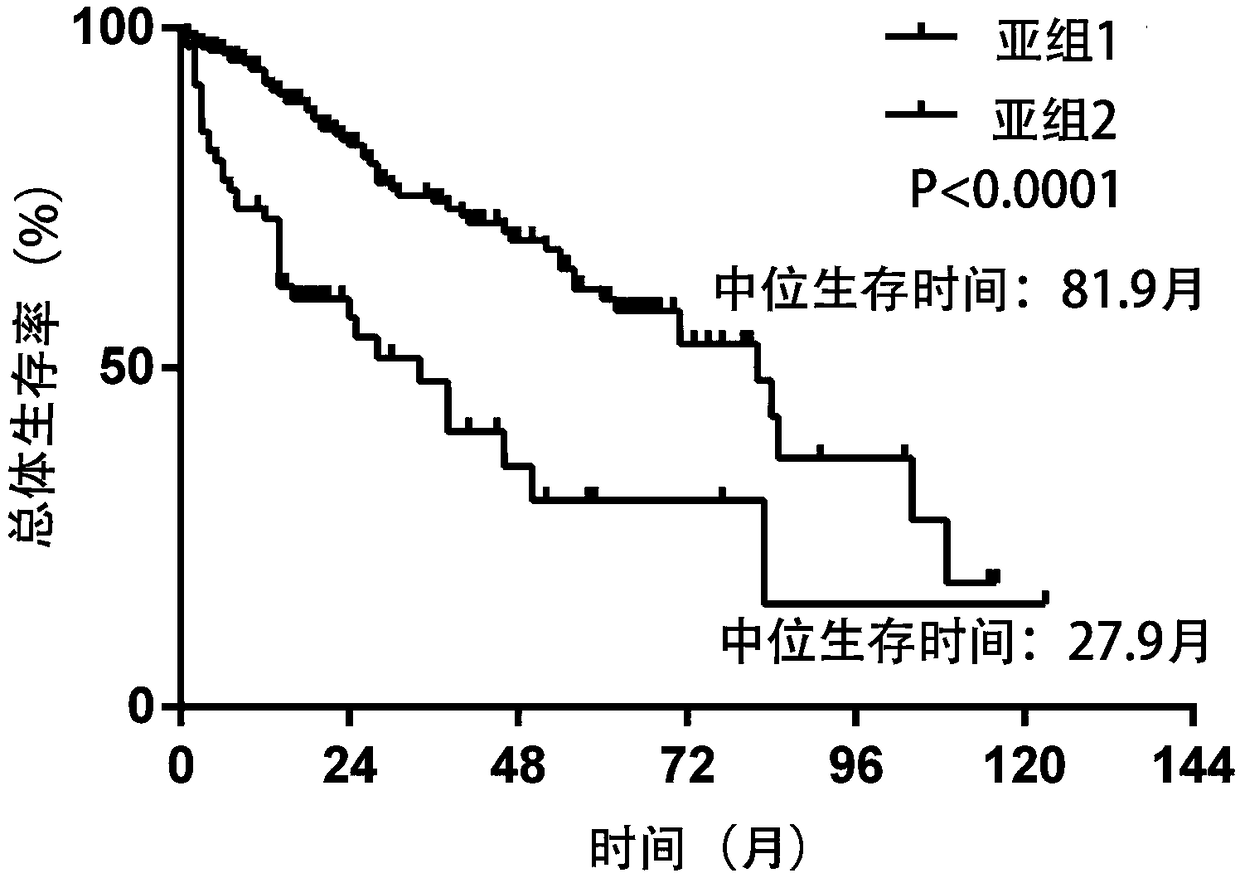 Gene detection kit for prognosis risk evaluation of patients with liver cancer and application