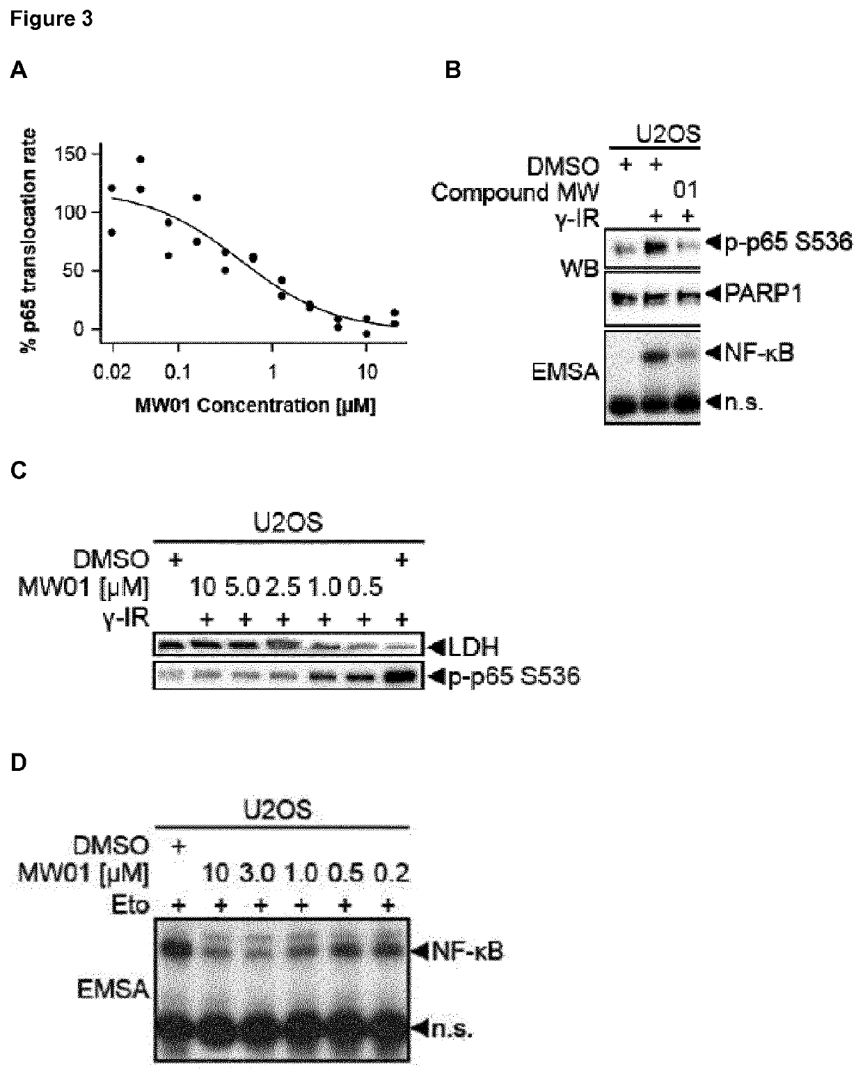 Selective inhibitors of gentotoxic steress-induced IKK/NF-κB pathways