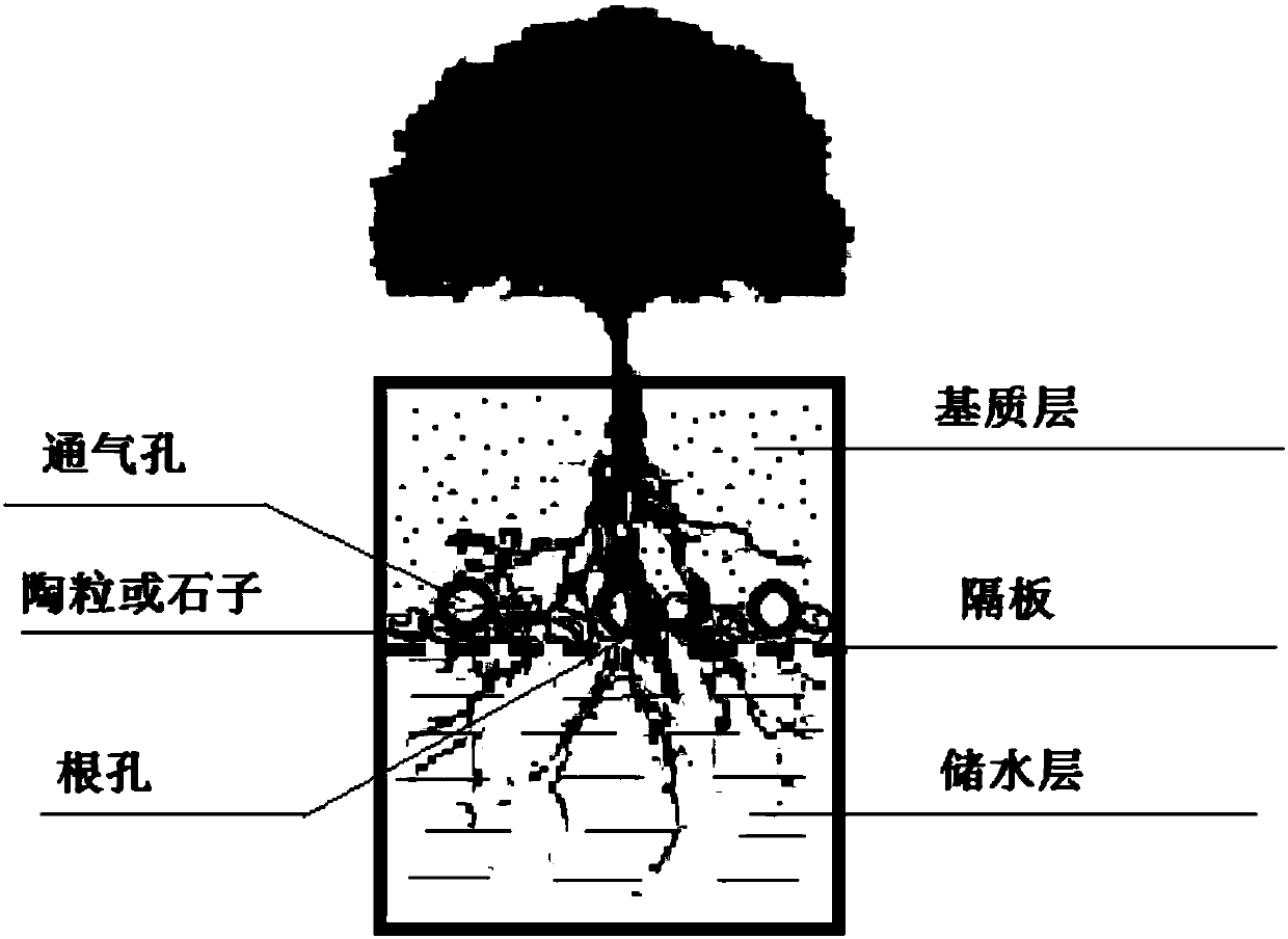Soil-water separation container cultivation method for large-scale landscape plants