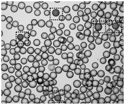 A tumor immunotherapy predictive biomarker PD-L1 targeting polypeptide and its application