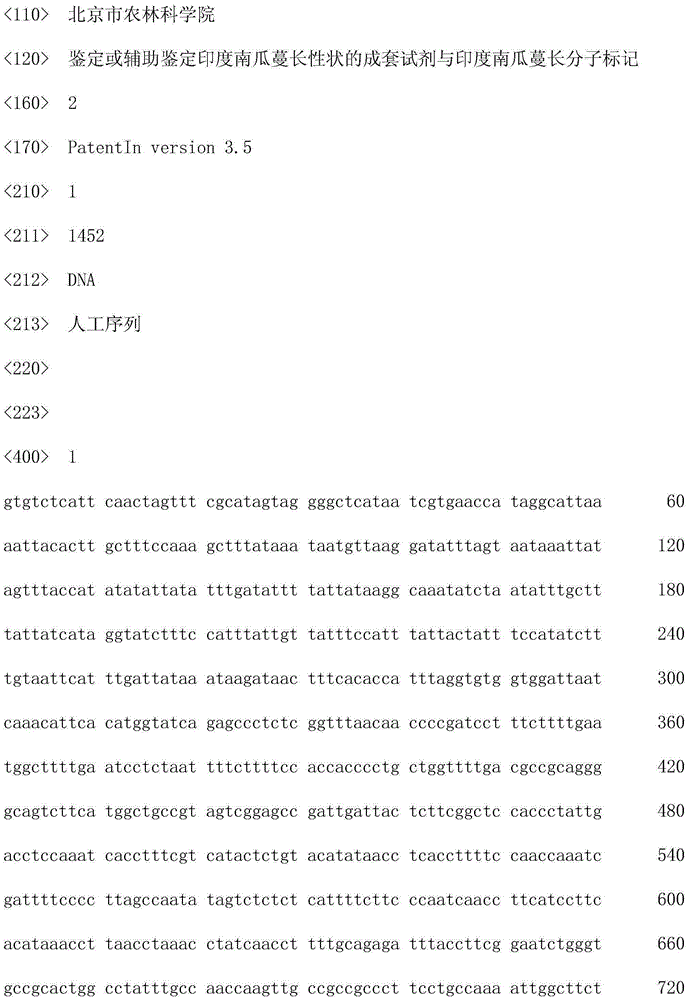 Set of reagents used for identification or assistant identification of cucurbita maxima vine length characters, and cucurbita maxima vine length molecular markers
