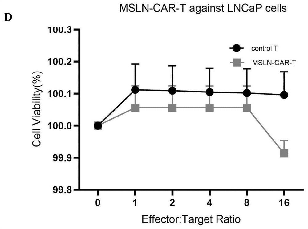 Preparation method of Mesothelin chimeric antigen receptor modified T cell with targeted high-intensity tumor killing activity