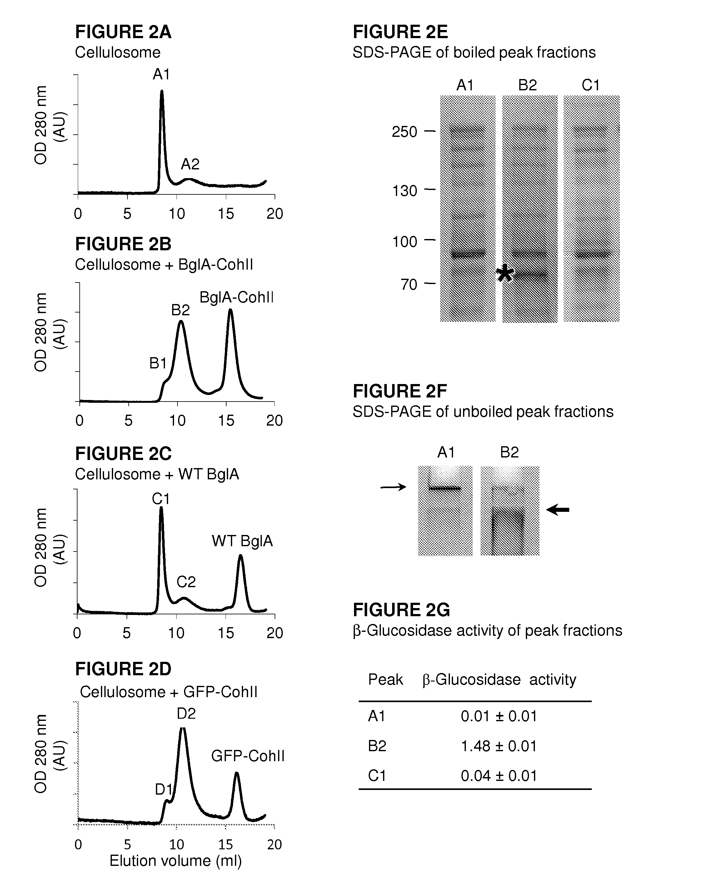Fusion Proteins Comprising Type-II Cohesin Modules, Multi-Enzyme Complexes Comprising Same and Uses Thereof