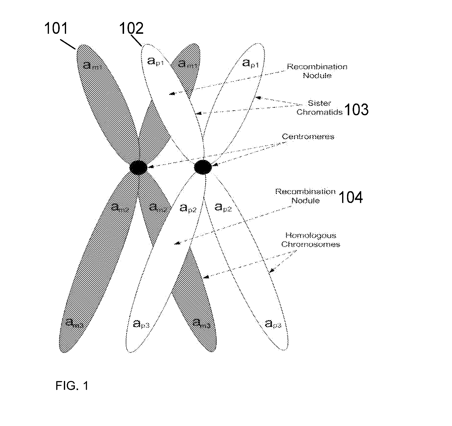 System and method for cleaning noisy genetic data from target individuals using genetic data from genetically related individuals