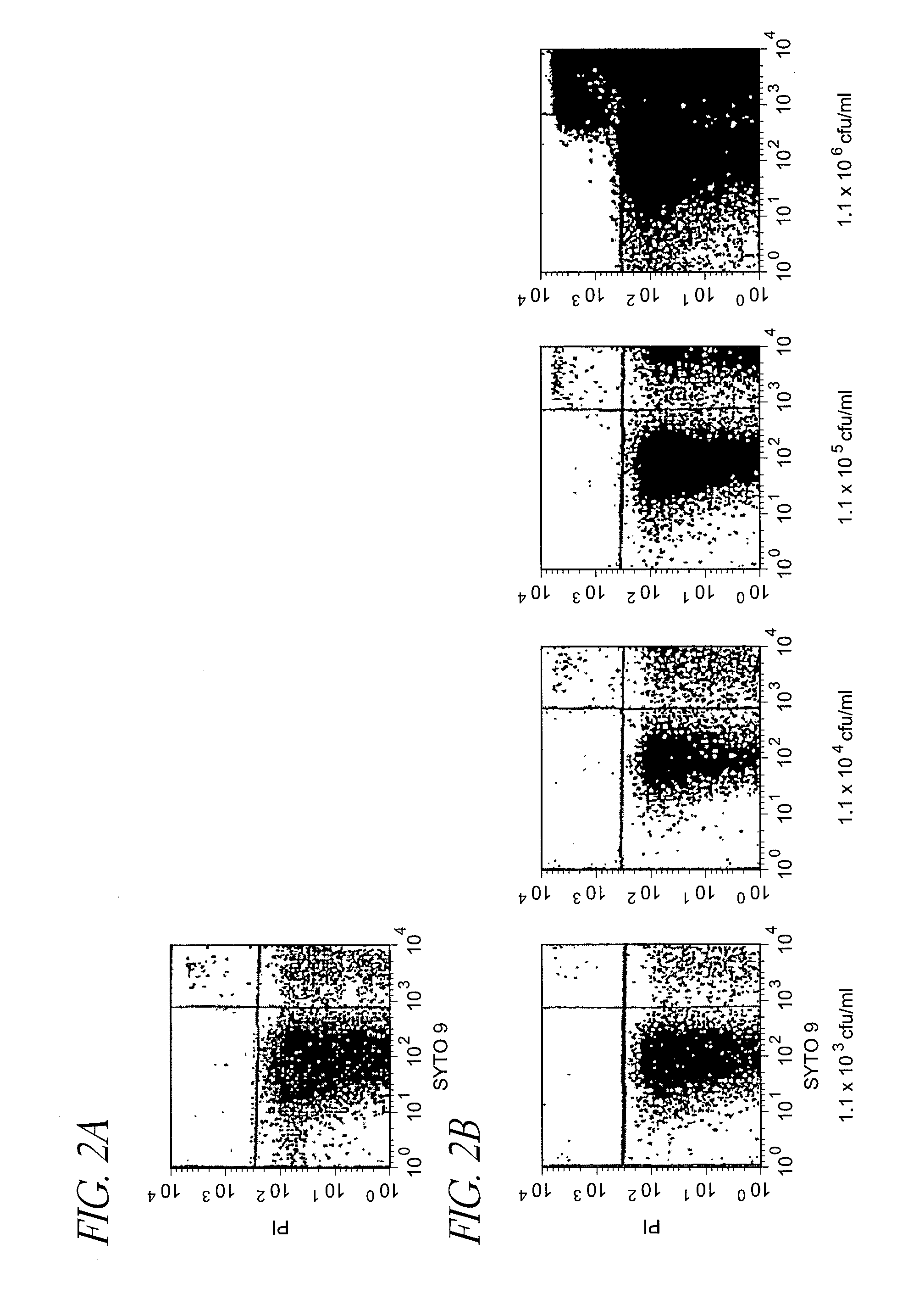 Method for detection of microorganism and kit for detection of microorganism