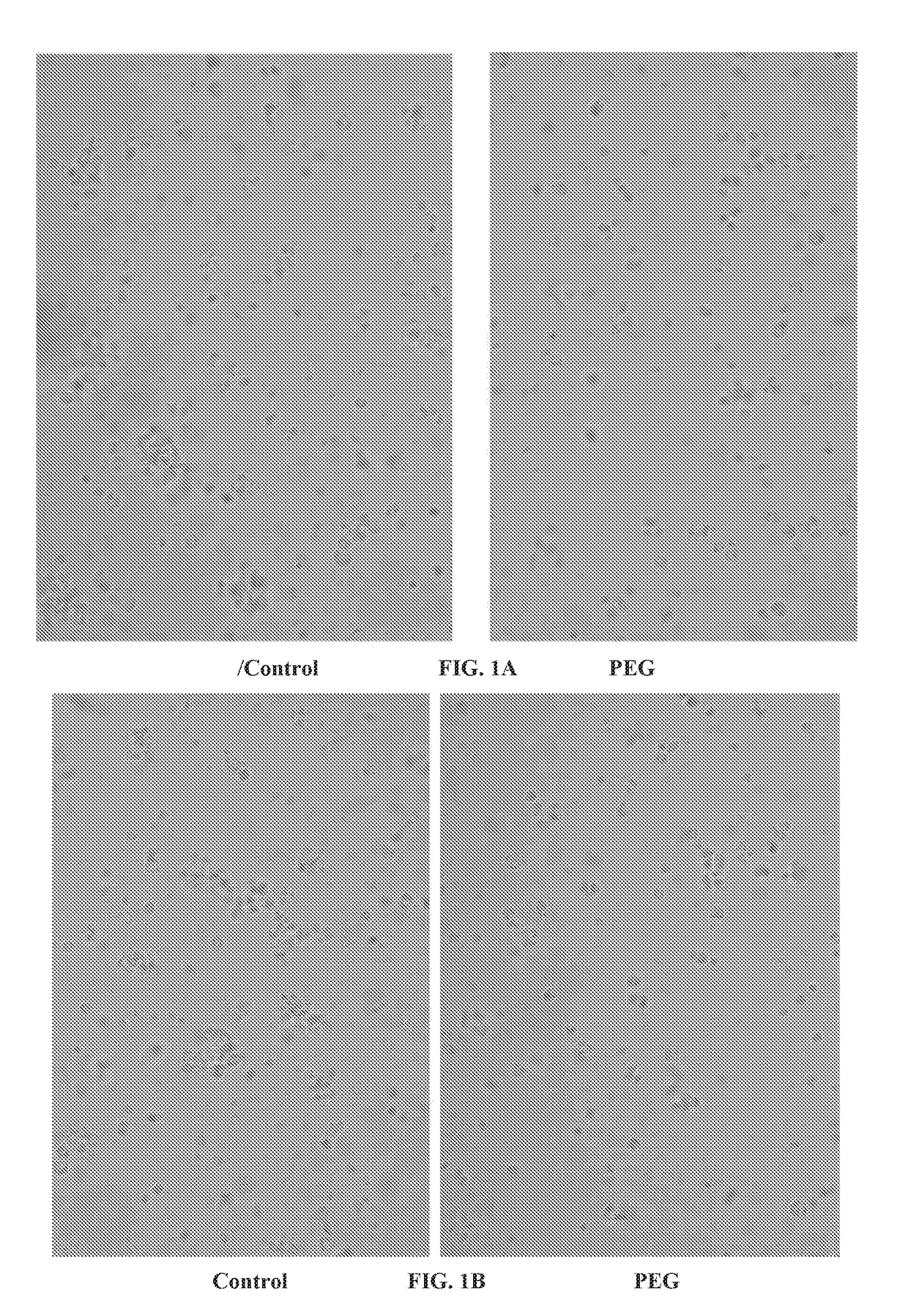 Compositions and methods for prolonged cell storage