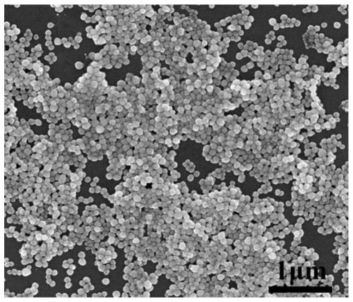 Copper-nickel core-shell type nano powder, conductive film, preparation method of copper-nickel core-shell type nano powder, preparation method of conductive film and application of copper-nickel core-shell type nano powder
