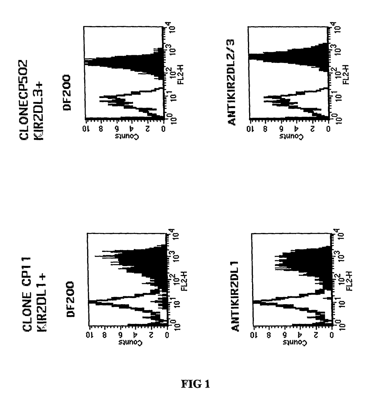 PAN-KIR2DL NK-receptor antibodies and their use in diagnostics and therapy