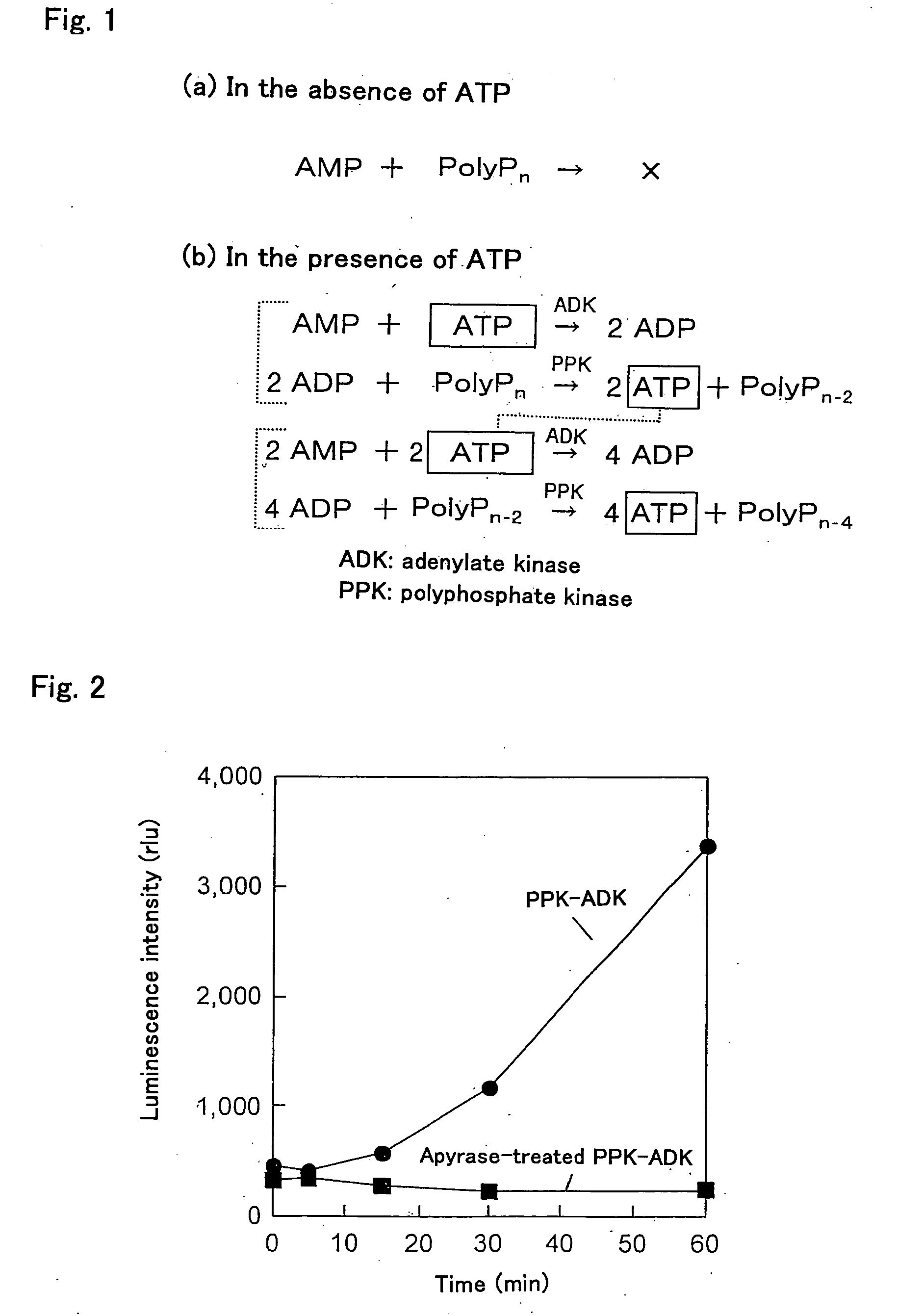 Method of Amplifying Atp and Use Thereof