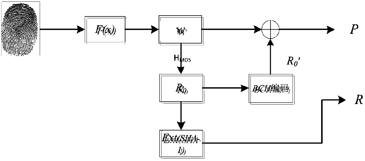 A New Method of Fingerprint Key Generation for Digital Signature