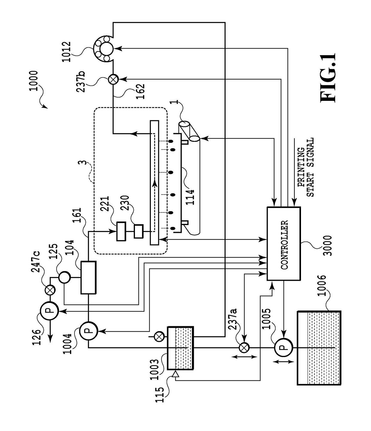 Liquid ejection apparatus, liquid ejection method, and liquid ejection head