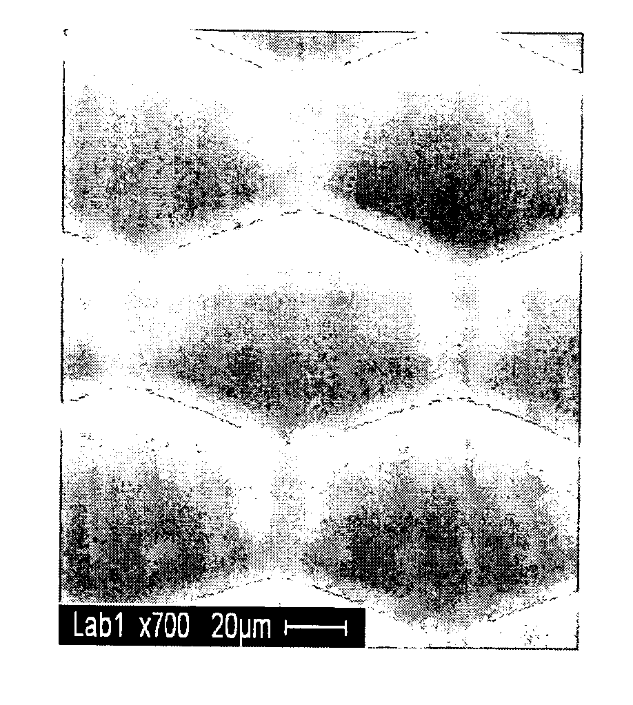 Method for fabricating a micro-lens mold and a concave micro-lens